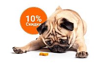 -10% на зоотовары акция в Алапаевске компании Инженер выгодно