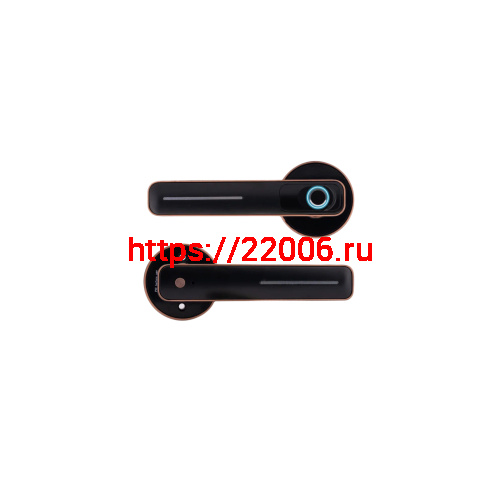 Замок-ручка электронный Hogo R01 с отпечатком пальца, черный