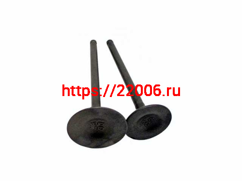 Клапана ГБЦ 172FMM (CB250D-F) (d=27/32) (I=86/89)